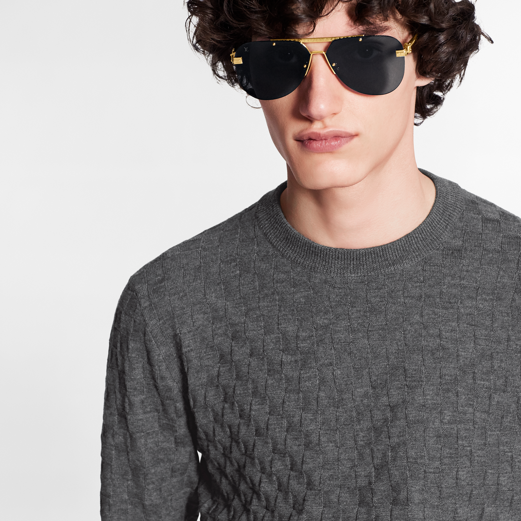 Ready-to-Wear Knitwear and Sweatshirts Damier Signature Crewneck | Louis Vuitton ® (Product zoom)
